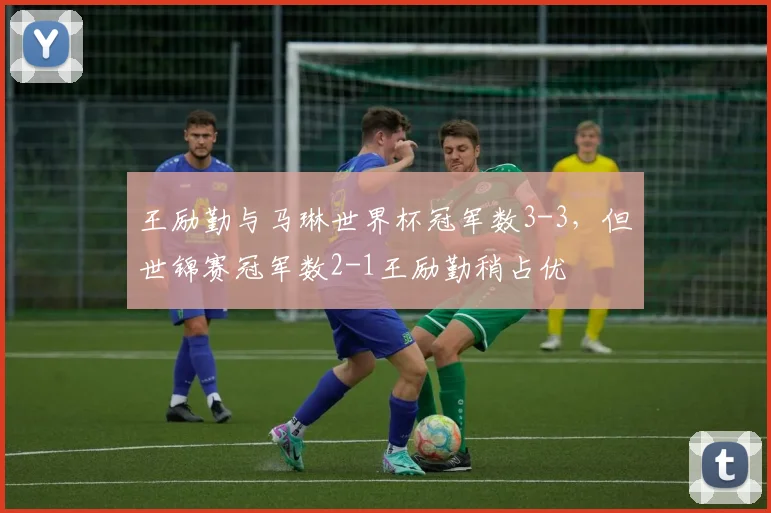 王励勤与马琳世界杯冠军数3-3，但世锦赛冠军数2-1王励勤稍占优